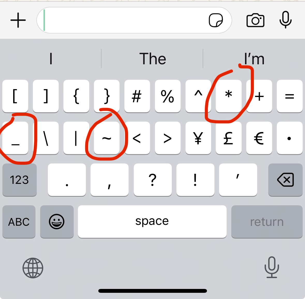 Screenshot of More Special Characters iPhone Keyboard